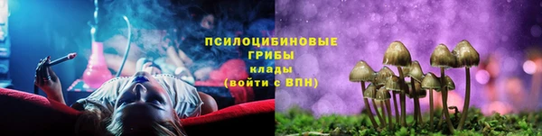 МДПВ Алзамай