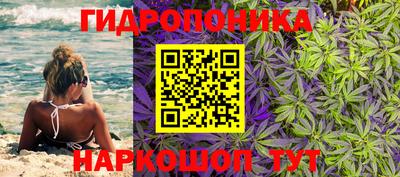 крисы Рязань