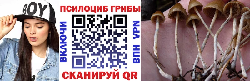 Псилоцибиновые грибы мухоморы Троицк