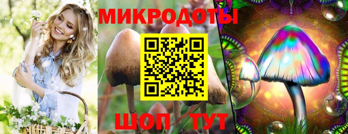 Псилоцибиновые грибы прущие грибы Троицк