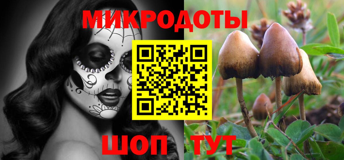 Галлюциногенные грибы ЛСД  Псилоцибиновые грибы Psilocybe  Троицк  Вход с VPN 